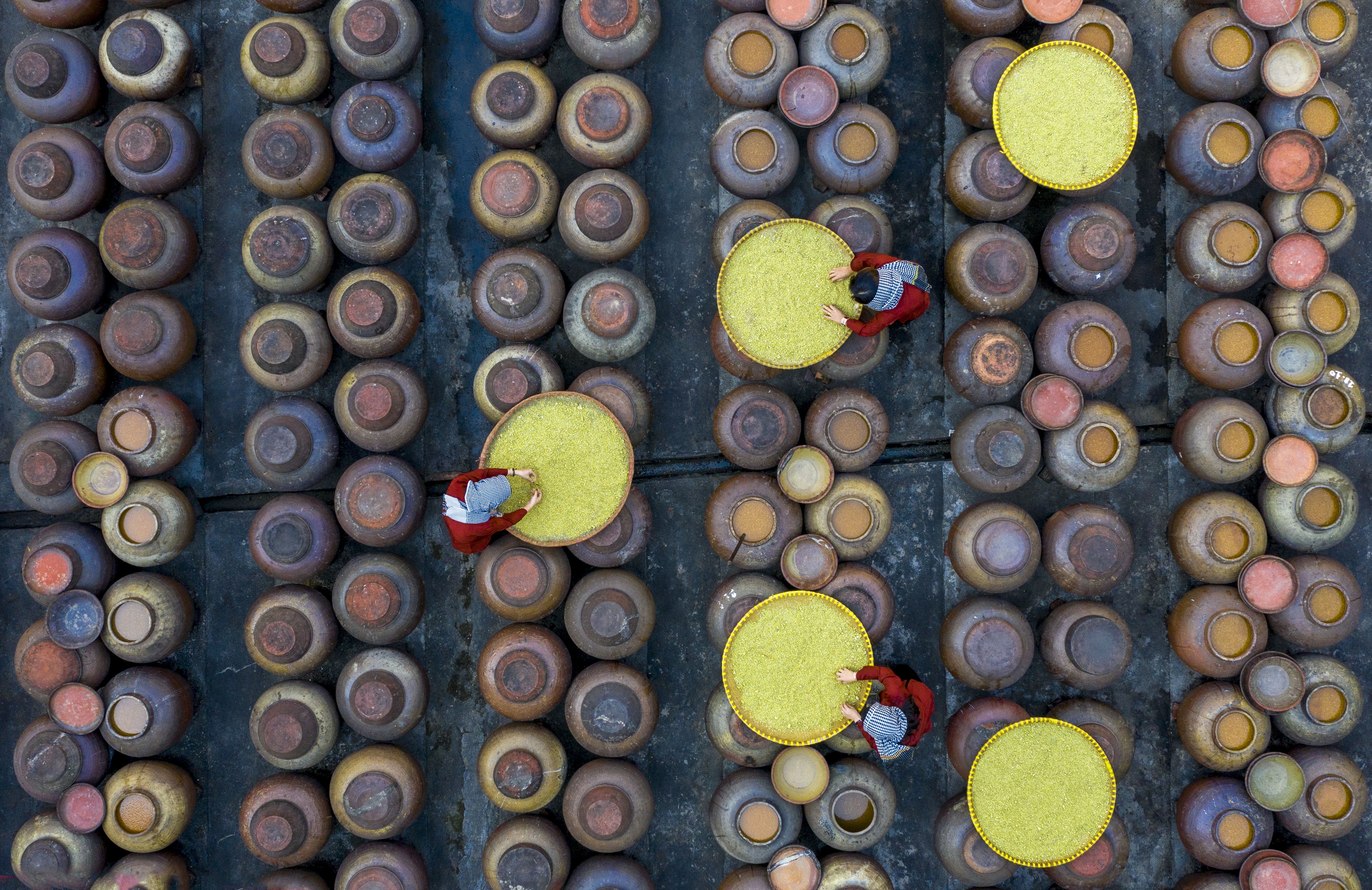 ngan ngo nho den tuong ban