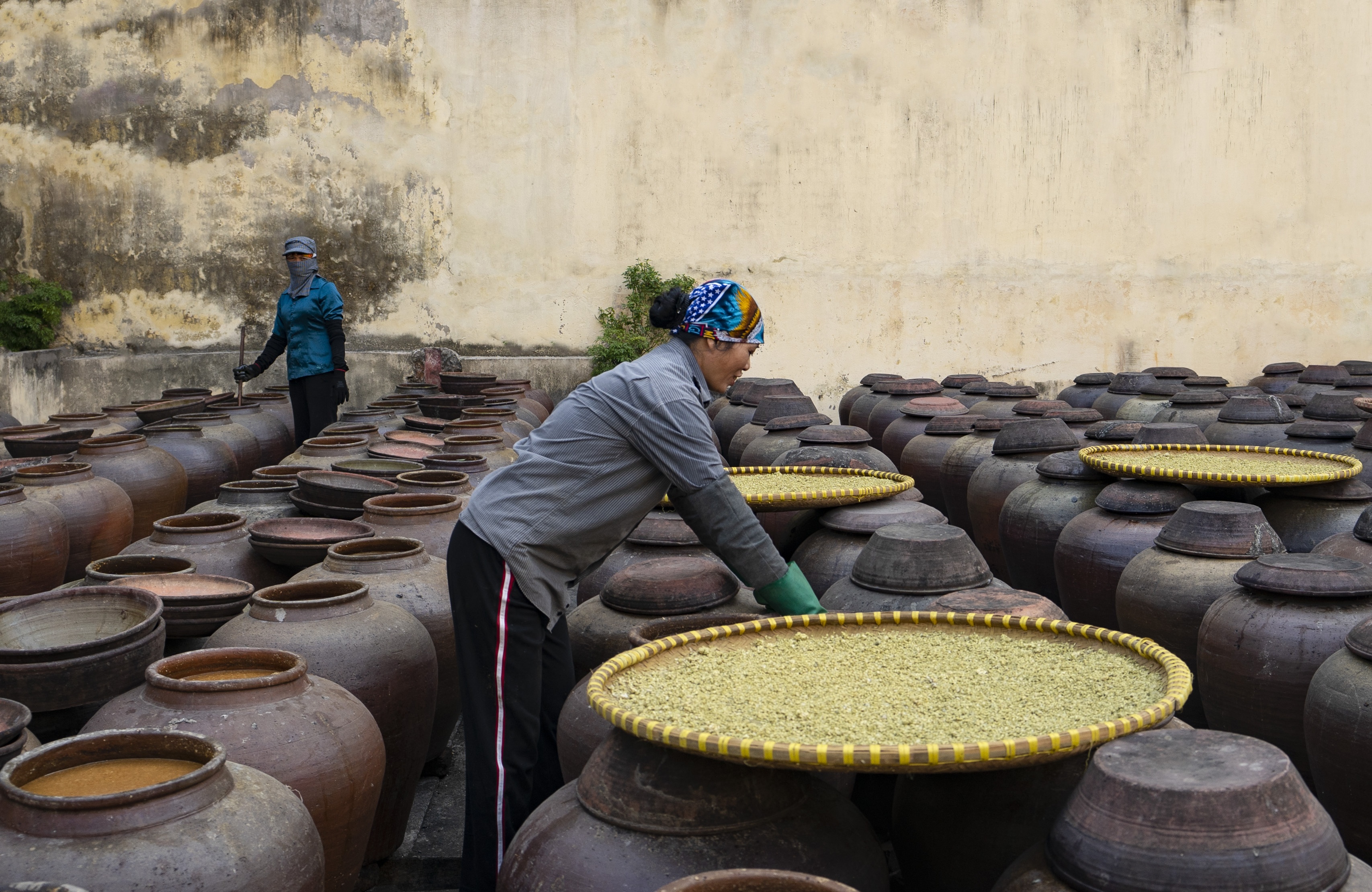 ngan ngo nho den tuong ban