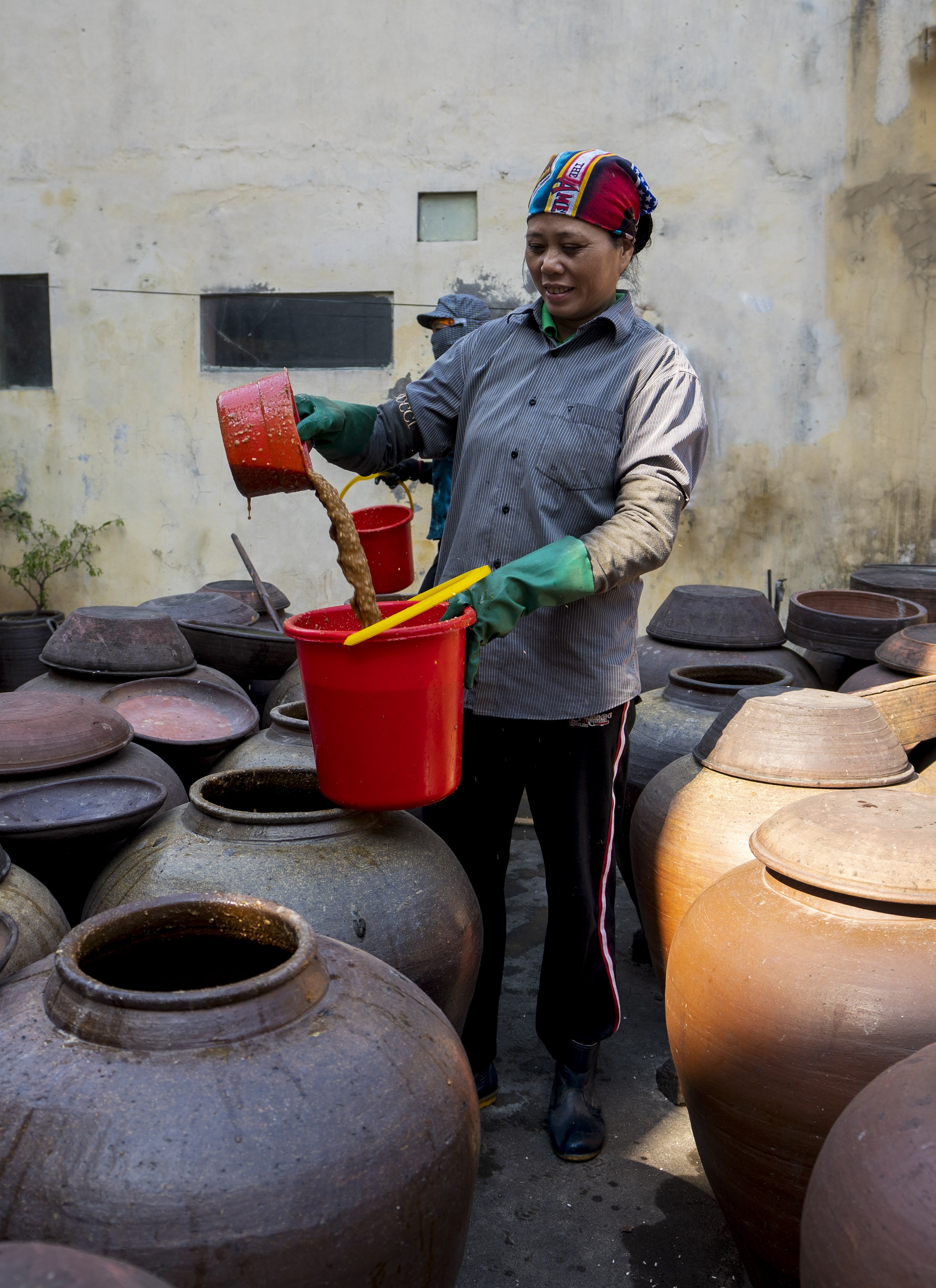 ngan ngo nho den tuong ban