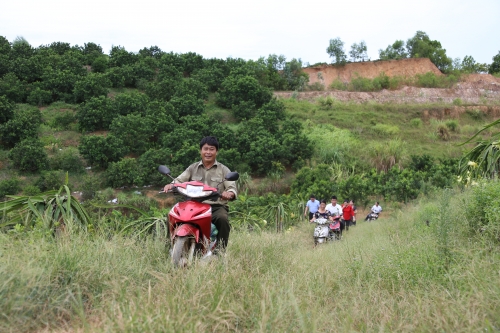 Đồng vốn mát lành…