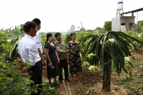 Đồng vốn mát lành…