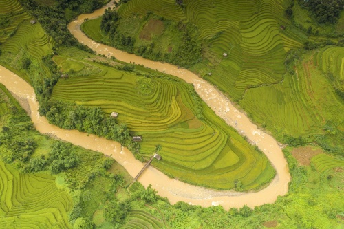bay tren mua vang mu cang chai