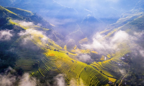 bay tren mua vang mu cang chai