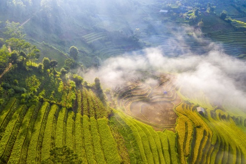 bay tren mua vang mu cang chai