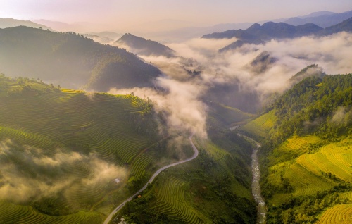 bay tren mua vang mu cang chai