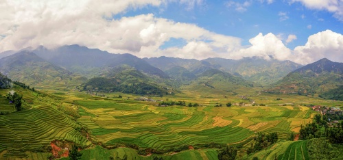 bay tren mua vang mu cang chai