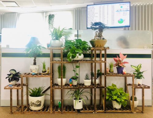 Tuổi trẻ Vietcombank xung kích thực hiện chỉ đạo của Đảng về văn hóa doanh nghiệp tuoi tre xung kich thuc hien chi dao cua dang trong xay dung va phat trien van hoa doanh nghiep