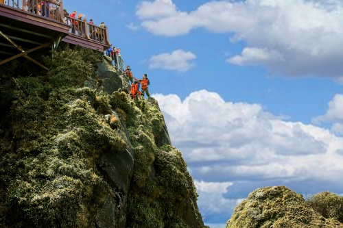 Phát triển du lịch - nhân tố quan trọng giảm áp lực của người dân đối với rừng 