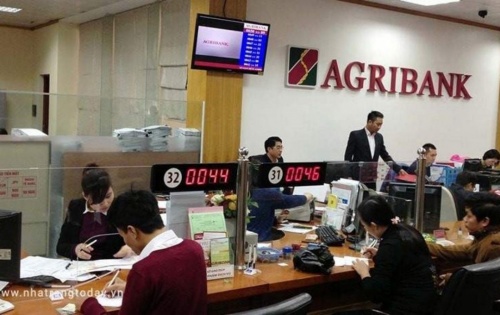 Tập trung các giải pháp tín dụng phục vụ SXKD và tiêu dùng nhằm hạn chế “tín dụng đen” tap trung cac giai phap tin dung phuc vu sxkd va tieu dung nham han che tin dung den