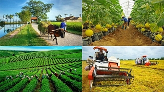 Tổ chức Hội nghị Thủ tướng Chính phủ đối thoại với nông dân năm 2022