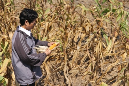 BIDV hỗ trợ 23 tỷ đồng cho các tỉnh bị hạn hán, xâm nhập mặn