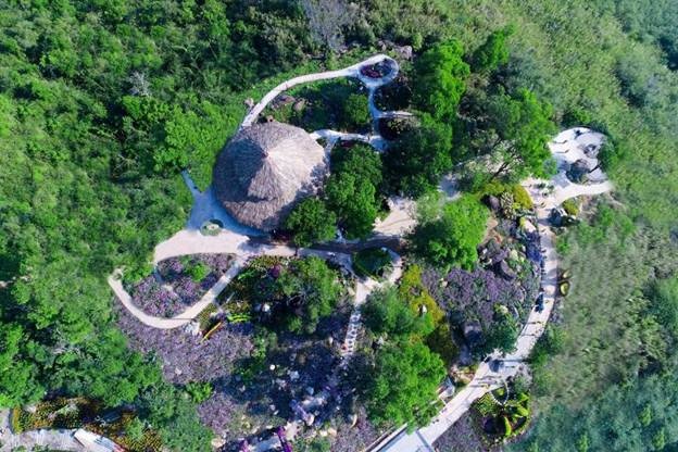 Khám phá Tây Ninh: tưởng không hay mà hay không tưởng!