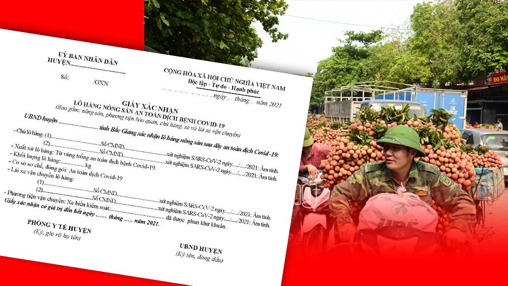 dong hanh cung bac giang tieu thu nong san