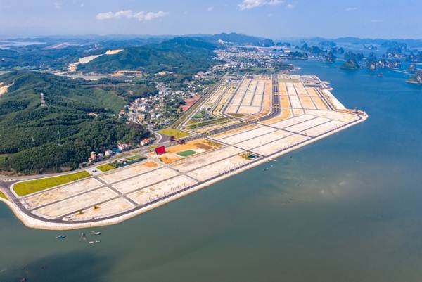 phuong dong van don don dau da phuc hoi thi truong bat dong san sau dich