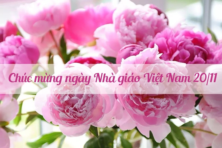 Thư chúc mừng của Phó Thống đốc Ngân hàng Nhà nước nhân ngày Nhà giáo Việt Nam thu chuc mung cua pho thong doc ngan hang nha nuoc nhan ngay nha giao viet nam