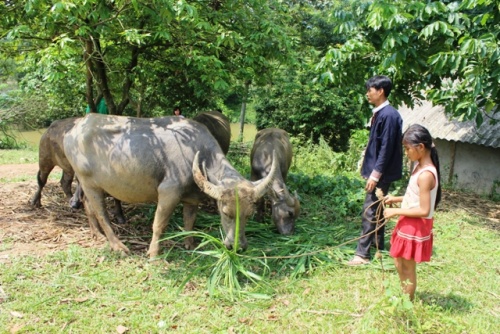 lao cai trien khai toan dien chi thi 40 tao dong luc cho giam ngheo