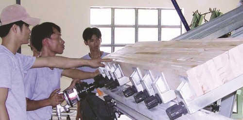 Cổ phiếu ngành gỗ sẽ như thế nào?