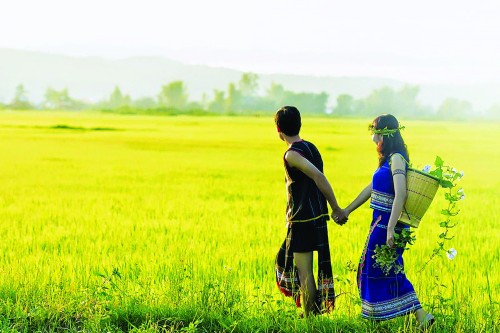 Cho Tây Nguyên thêm xanh