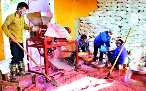 Ngành Ngân hàng Tuyên Quang: Thúc đẩy kinh tế địa phương