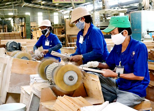 Cửa đang rộng cho xuất khẩu gỗ sang EU