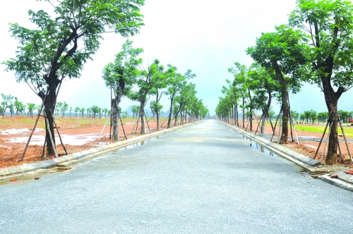 Bất động sản Đà Nẵng tiếp tục hấp dẫn