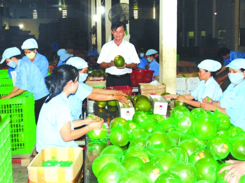 Định hình nền kinh tế chia sẻ