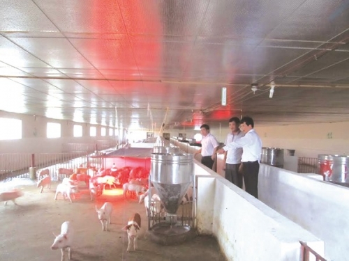 Khẳng định vị thế chủ lực thị trường tài chính nông thôn