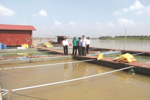 Khẳng định vị thế chủ lực thị trường tài chính nông thôn