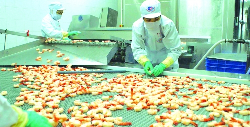 Hành trang sơ sài với AEC