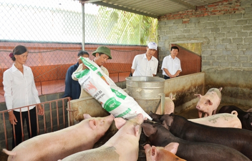 Tín dụng chính sách trên thành phố Cảng