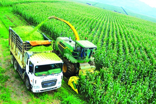 Bước chuyển mình mạnh mẽ của Agribank Bước chuyển mình mạnh mẽ của Agribank