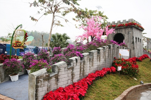 Kỳ quan năm châu hội tụ bên vịnh di sản Hạ Long tại lễ hội hoa lớn chưa từng có