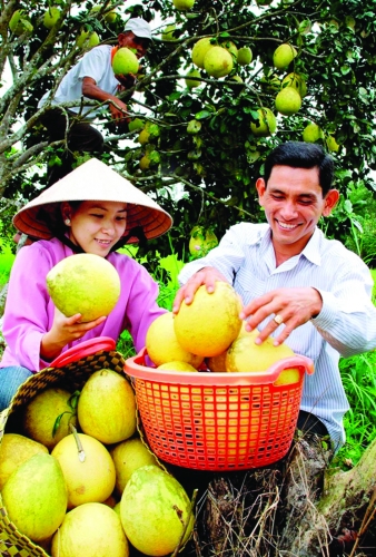 Động lực & niềm tin