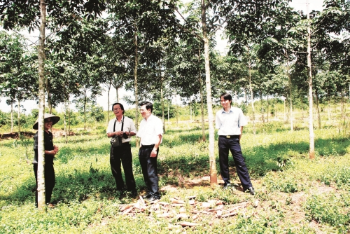 Đăk Nông cần phát huy thế mạnh vốn có Đăk Nông cần phát huy thế mạnh vốn có