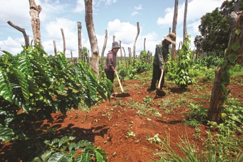 Ở đâu có người nghèo, ở đó có Ngân hàng Chính sách xã hội