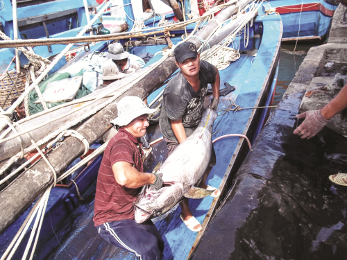 Vì hoạt động đánh bắt thủy sản bền vững Vì hoạt động đánh bắt thủy sản bền vững