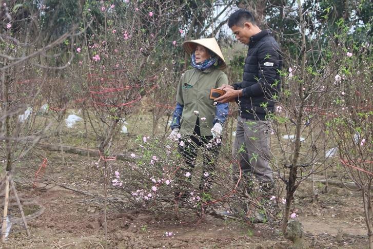 ruot duoi cung thoi gian nguoi trong dao san sang don tet