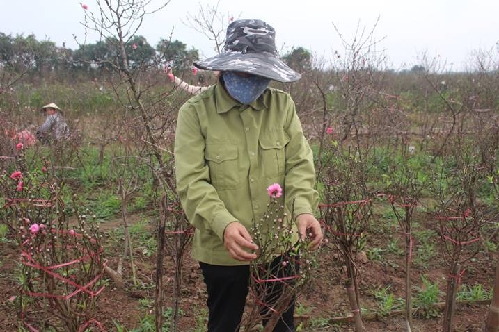 ruot duoi cung thoi gian nguoi trong dao san sang don tet