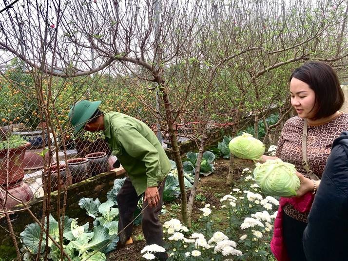 ruot duoi cung thoi gian nguoi trong dao san sang don tet