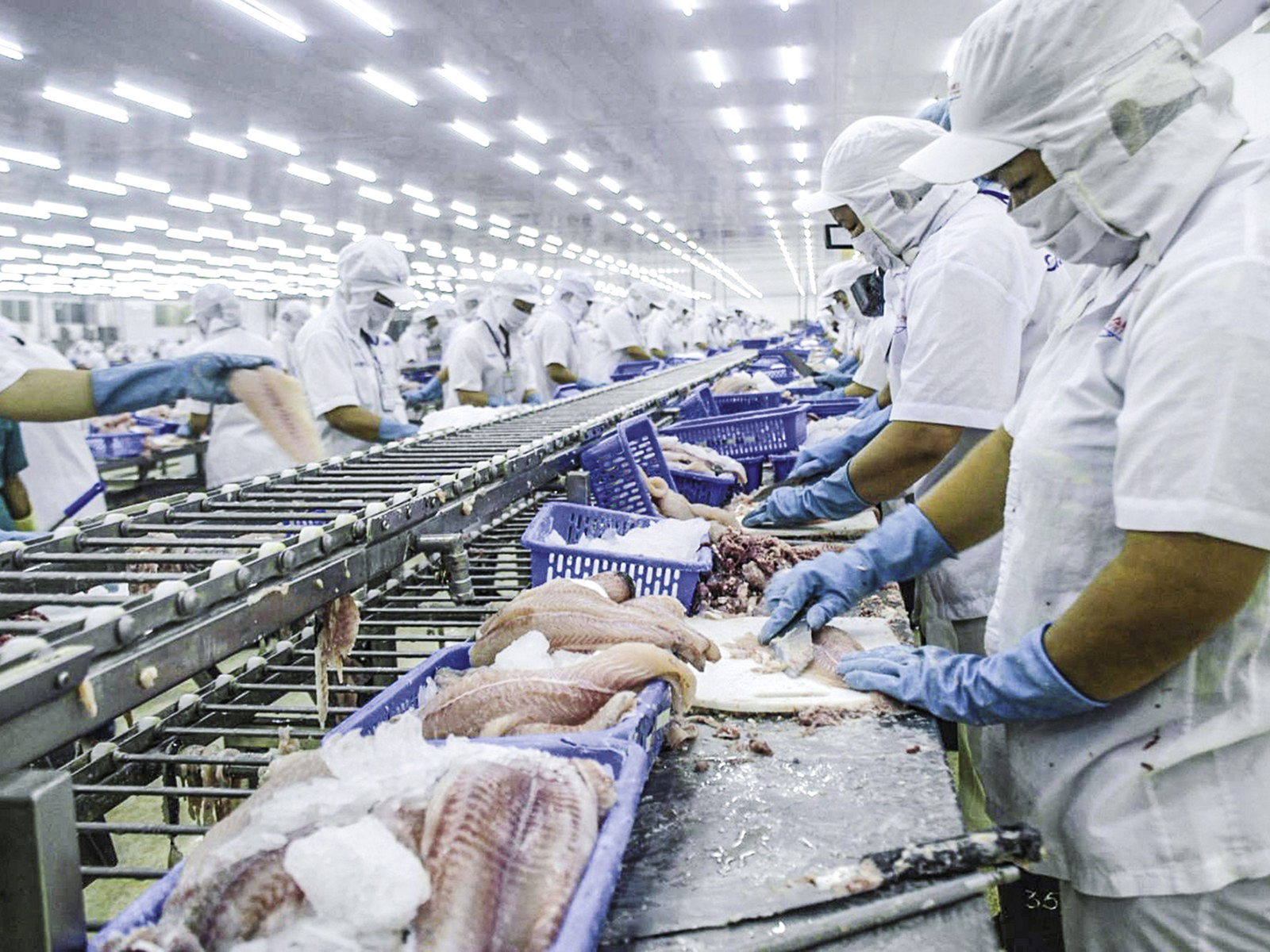 Thủy sản không đạt mục tiêu nhưng không thất vọng thuy san khong dat muc tieu nhung khong that vong