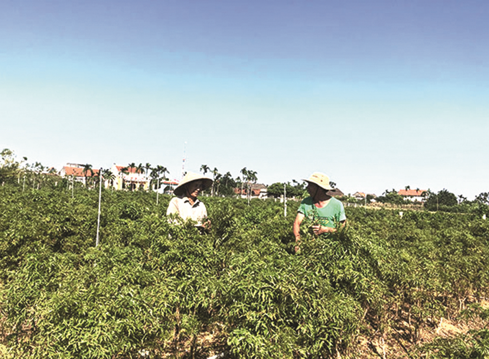 Nơi tín dụng bắt nhịp xây dựng nông thôn mới Nơi tín dụng bắt nhịp xây dựng nông thôn mới