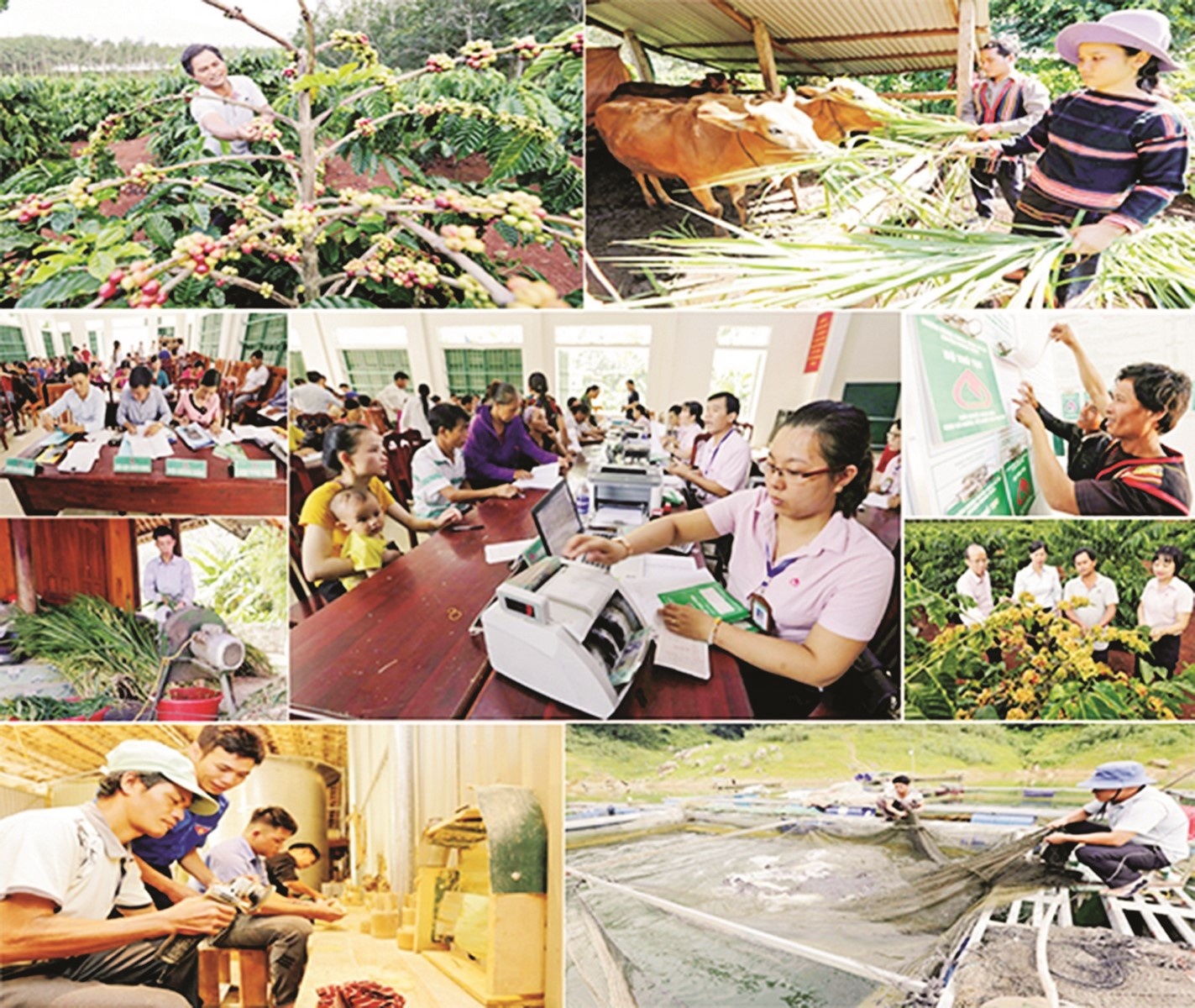 diem tua vung vang tu dong von chinh sach