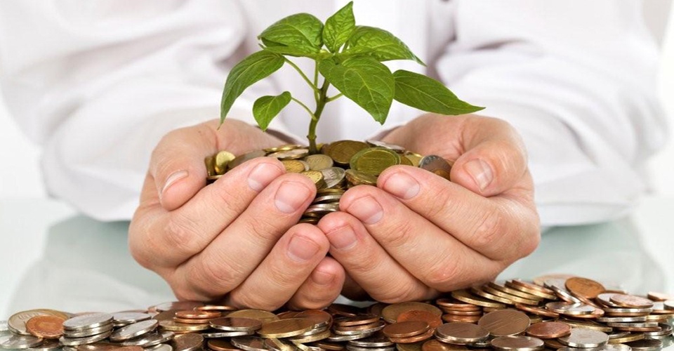 doanh nghiep di tim von xanh