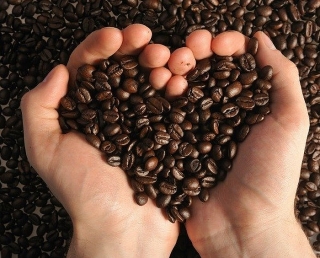 Giữ vững vị thế nước xuất khẩu cà phê nhân