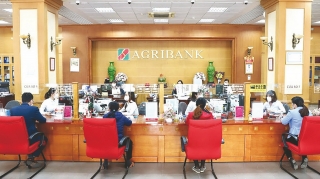 Agribank chi nhánh Phú Thọ: Lấy khách hàng làm trung tâm các giải pháp hỗ trợ