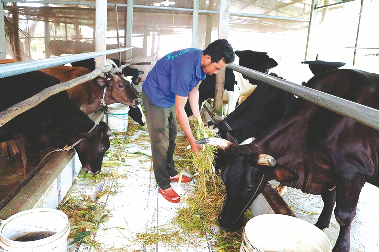 thoat ngheo nho dong von chinh sach