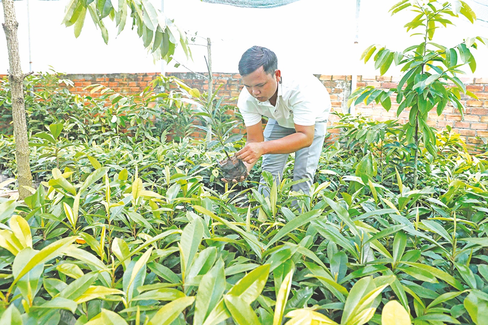 thoat ngheo nho dong von chinh sach