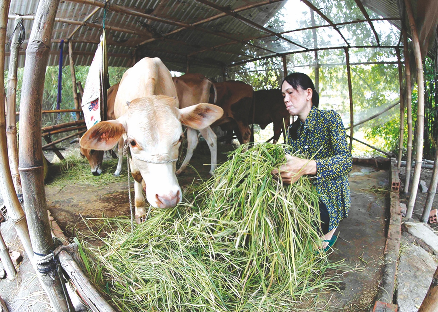 thoat ngheo nho dong von chinh sach