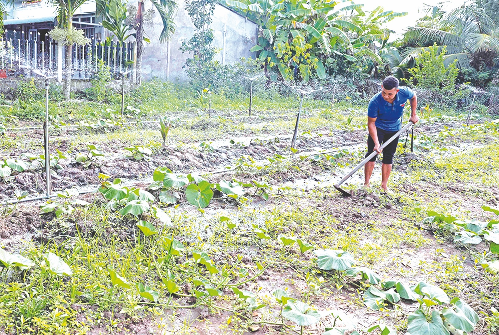 thoat ngheo nho dong von chinh sach