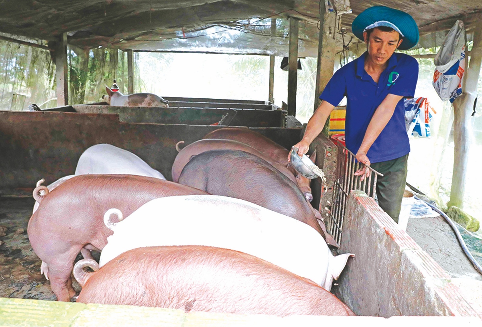 thoat ngheo nho dong von chinh sach